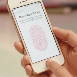 Apple SVP Federighi: Touch ID was not intended for multiple users