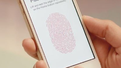 Apple SVP Federighi: Touch ID was not intended for multiple users