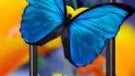Video explains everything about Samsung's Super AMOLED display