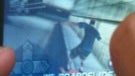 Tony Hawk game is for "real" on the iPhone & "dropping soon"