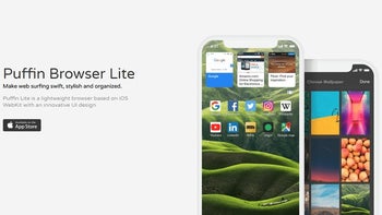 Puffin Lite is a brand new iPhone browser based on Apple's iOS webkit