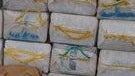 Police squash $1.1 billion mobile phone smuggling ring in China