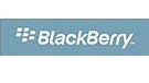 Injunction on Blackberry service in US delayed