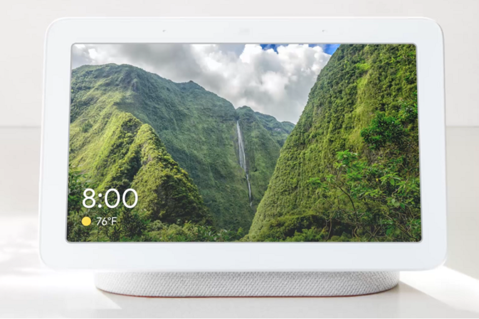 Video calling best sale google home