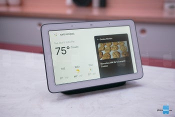 black google home hub