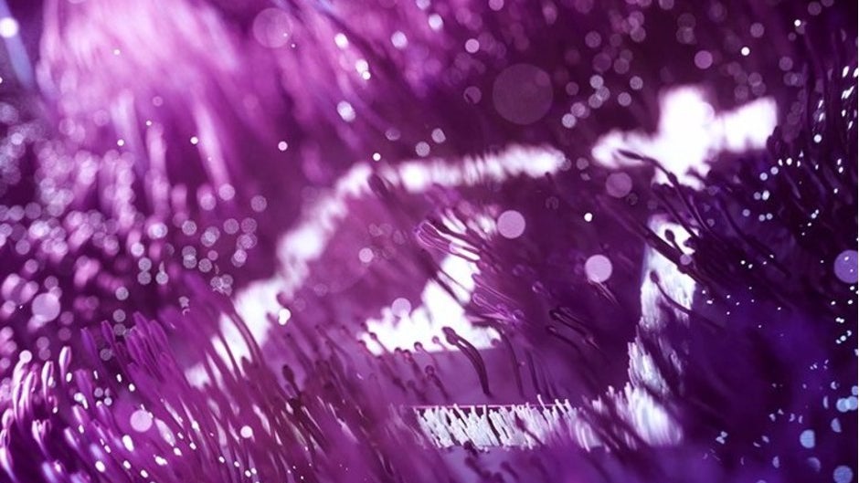 The elusive Thunder Purple OnePlus 6T is coming to the US after all