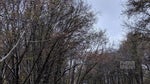 Check out some photos allegedly snapped by the Google Pixel 3 Lite