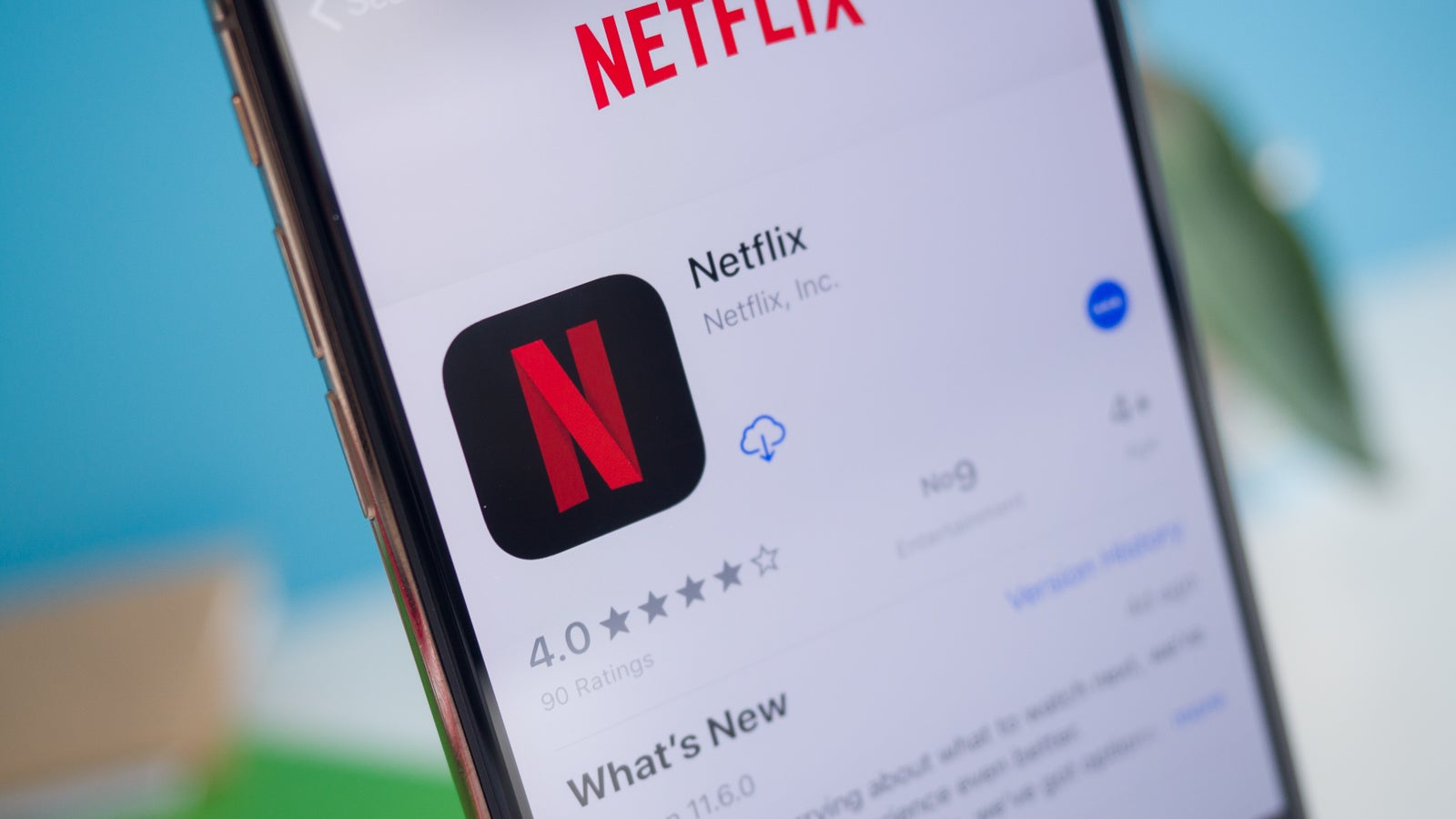 new ios update not allowing netflix app downloaded to play