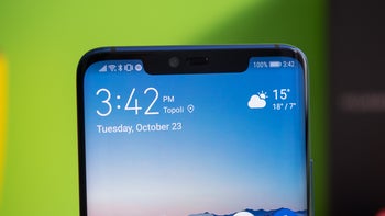 Huawei P30 Pro to feature curved AMOLED display complete with notch