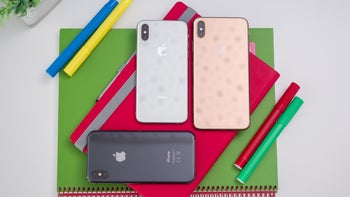 Apple's total iPhone sales could take a big hit in Q1 2019, yearly tally likely to decline as well