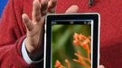 Palm & HP already in the works with a webOS powered tablet called Hurricane?