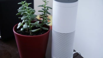 With smart speakers all over CES, category creator Amazon becomes most valuable U.S. public firm
