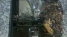 Owner witnesses his Samsung Rogue explode in front of his eyes