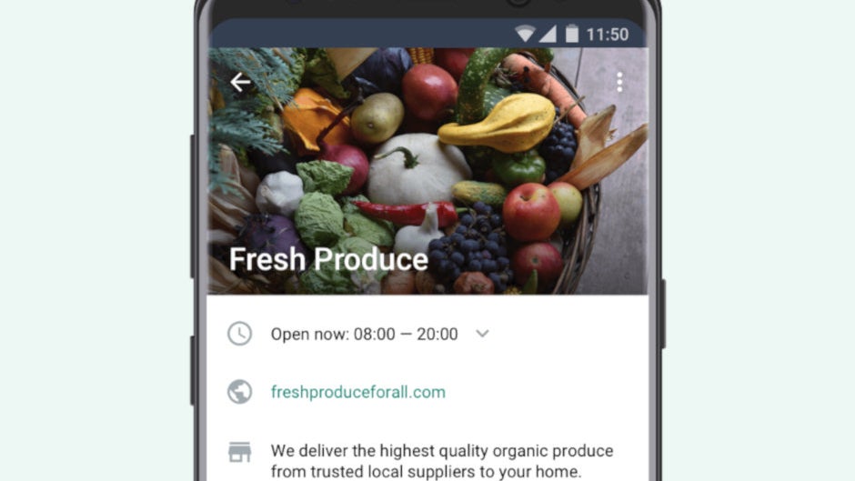 WhatsApp starts bringing its business app to iOS