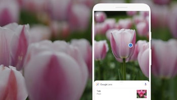 Google Lens gets new filters for Android and iOS devices this week