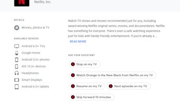 Netflix support for Google Nest Hub and other smart displays coming soon