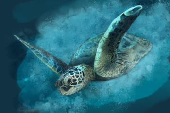 Upcoming free app for the Apple iPad might turn you into the next Michelangelo