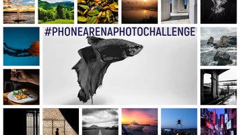 #PhoneArenaPhotoChallenge: Vote for the best photo taken on a phone