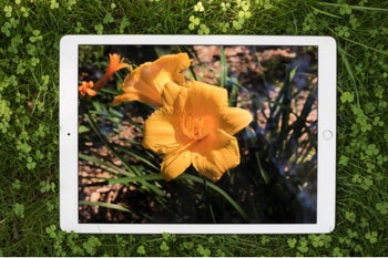Apple to push revolutionary display tech in the 2020 iPad Pro... and it's not microLED
