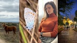 iPhone 11 Pro vs iPhone XS vs iPhone 8: Camera shootout