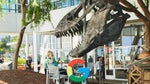 Google Maps' incognito mode now available for iOS users
