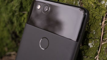 Some Google Pixel 2 users haven't been able to use the rear camera on their phones