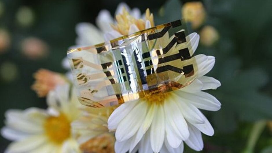 New flexible solar cell may help power the wearables of tomorrow