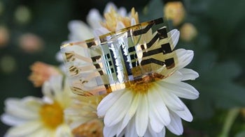New flexible solar cell may power the wearables of tomorrow