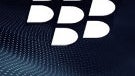 RIM claims the Blackpad domain name