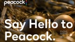 NBC Universal's Peacock streams over Android devices starting July 15th