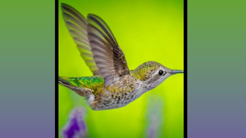 Samsung Galaxy Fold 2 latest render has the internet divided