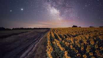 It takes skill, not gear, to take the most amazing smartphone photo