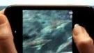 Sprint launches its teaser web site for the Samsung Epic 4G