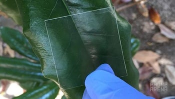 Smartphone displays of the future might be made of transparent wood