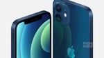 iPhone 12 size comparison: the new lineup against the competition and older iPhones