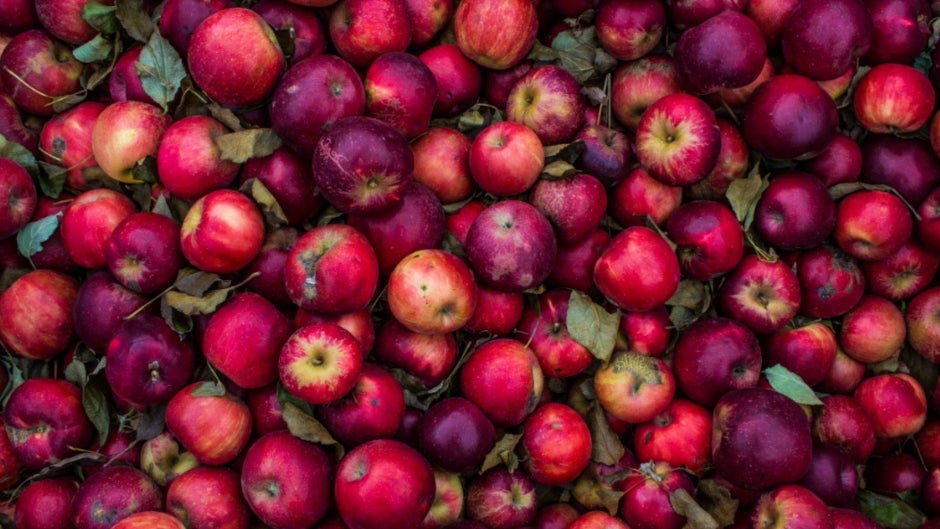 Man orders apples from a supermarket and gets a free Apple iPhone SE (2020)