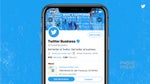 Twitter launches Professional Profiles for businesses