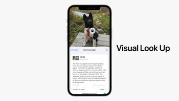 Apple's Visual Look Up is modeled after Google Lens