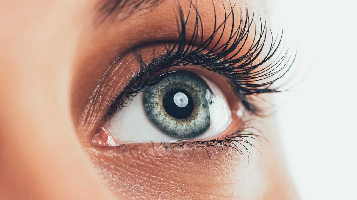 Samsung to develop human eye-like 576MP camera sensor by 2025
