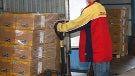 Nokia N8 is on the delivery trucks, some lucky souls might get it before the weekend