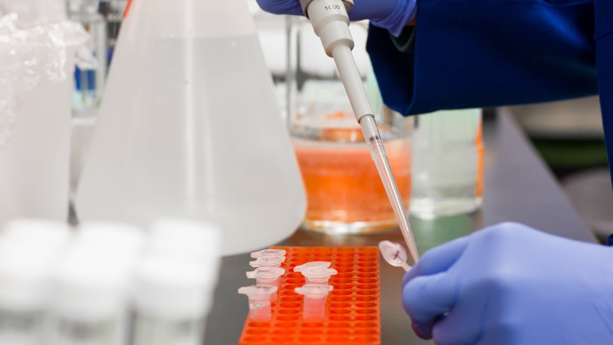 Researchers create a budget-friendly COVID test that uses a smartphone