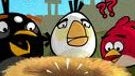Android owners can expect to see the full version of Angry Birds next week