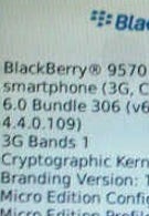 Was it RIM who put the kibosh on the BlackBerry Storm Refresh?