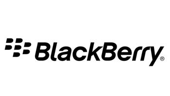 BlackBerry seeks to settle suit accusing it of fraudulently pumping up BlackBerry 10 demand