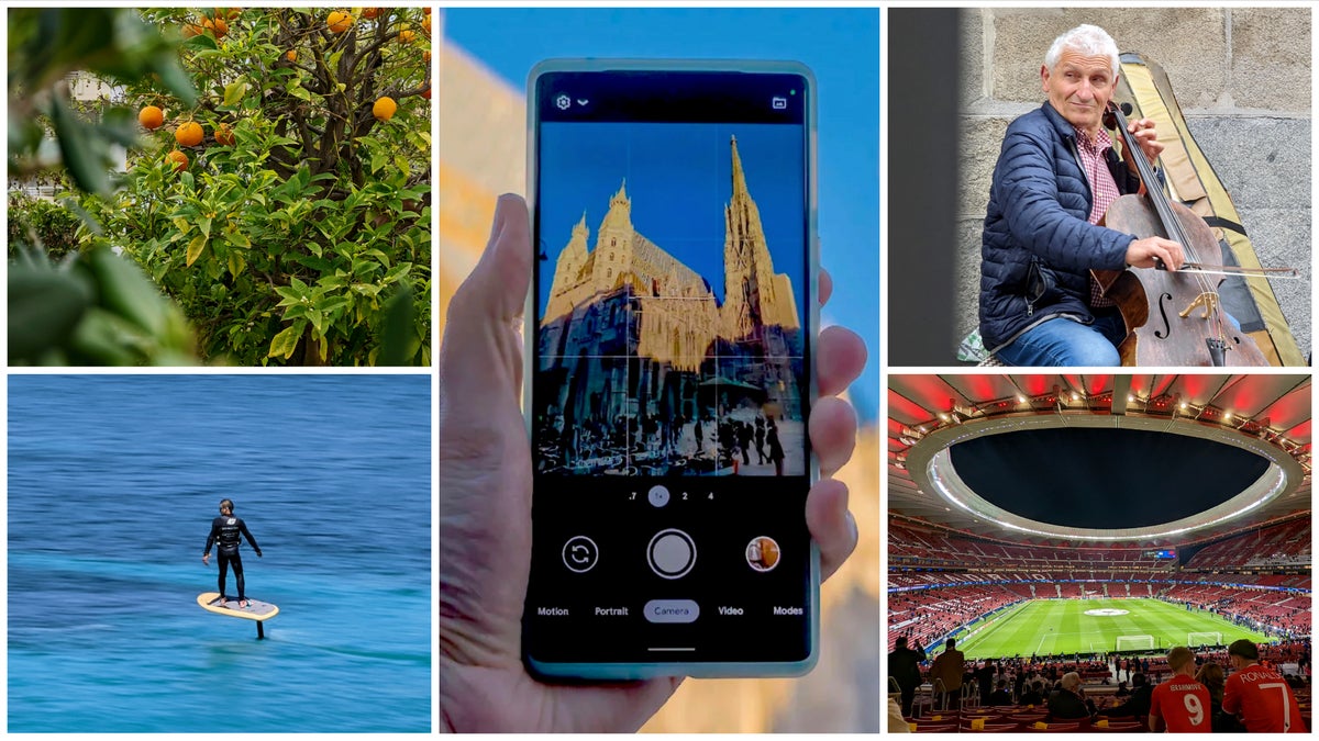 Pixel 6 Pro's jaw-dropping camera 7 months and 1,000 photos later: Making me a real photographer?