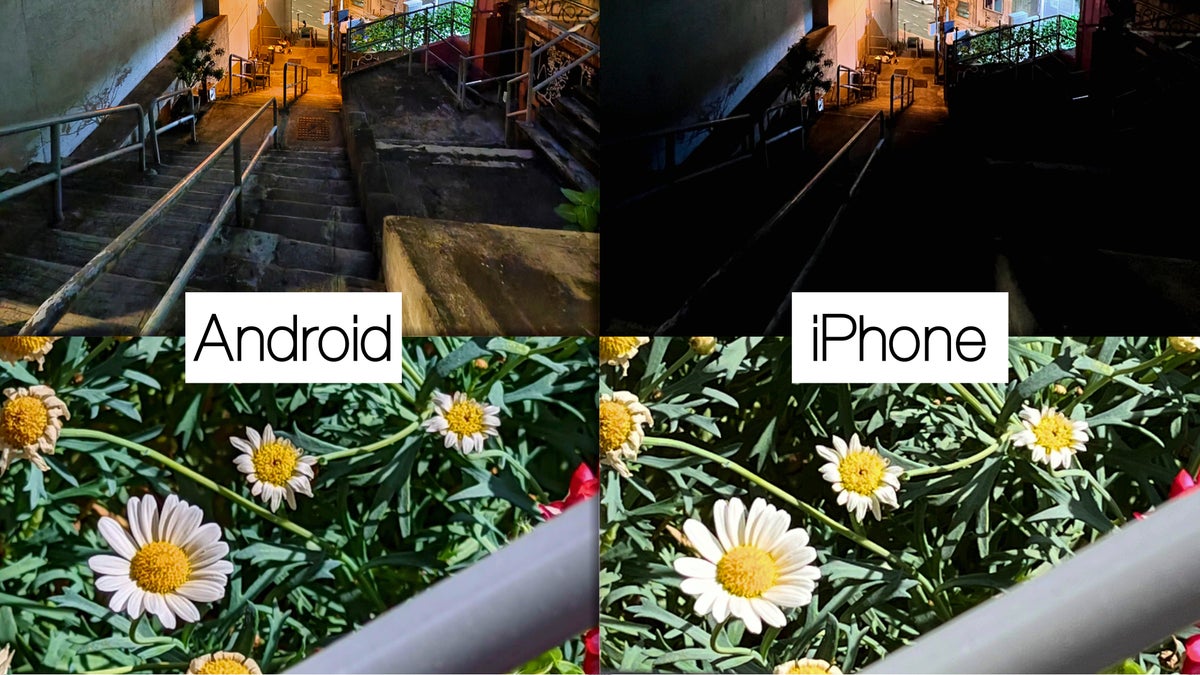 iPhone vs Pixel camera performance