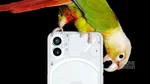 Vote now: Nothing Phone (1) - hot or not?