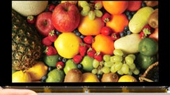 Ortustech crams full HD resolution into a 4.8" LCD display