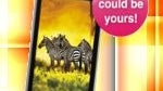 LetsTalk contest winner will be awarded a free T-Mobile myTouch 4G