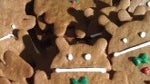 More Gingerbread men spotted at the Googleplex?